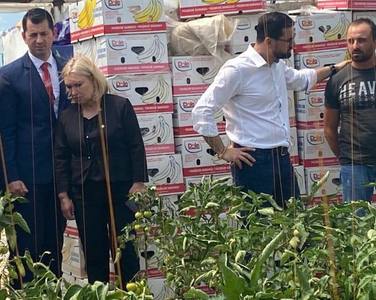 Adrian Chesnoiu anunţă măsuri de sprijin pentru legumicultorii înscrişi în Programul Tomata - Prelungirea perioadei de valorificare a producţiei, supusă dezbaterii publice 

 