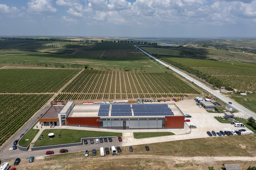 Alira Grand Vins deschide crama Aliman în judeţul Constanţa, cu o investiţie de peste 5 milioane de euro