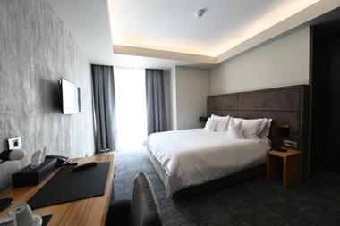 Primul hotel de 5 stele din Arad, inaugurat. BRD a finanţat investiţia cu 4 milioane euro  