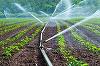 Ministerul Agriculturii alocă 1,5 miliarde de euro pentru infrastructura de irigaţii, desecare şi drenaj