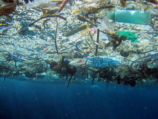 ANALIZĂ: 8 din 10 deşeuri aruncate la întâmplare de turişti pe litoral sunt din plastic