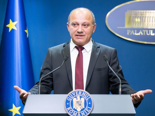 Modul de autorizare şi funcţionare în România a reprezentanţelor societăţilor şi organizaţiilor economice străine, modificat de Guvern după mai mult de 30 de ani