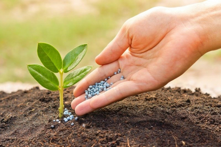 Guvernul a modificat legislaţia privind comercializarea produselor fertilizante şi stabileşte sistemul de contravenţii şi sancţiuni în domeniul produselor fertilizante