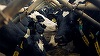 Agenţia de Plăţi şi Intervenţie pentru Agricultură anunţă că plăteşte ajutorul de stat în sectorul creşterii animalelor, suma autorizată la plată fiind de 1,33 milioane lei