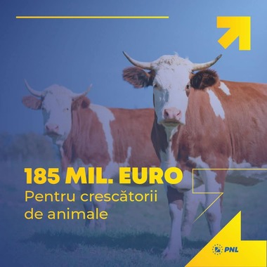 Ciucă: Am aprobat plafoanele alocate schemelor de sprijin cuplat, în sectorul zootehnic, precum şi cuantumul acestora, pentru anul de cerere 2022. Plafonul aprobat este de 185.483.810 euro