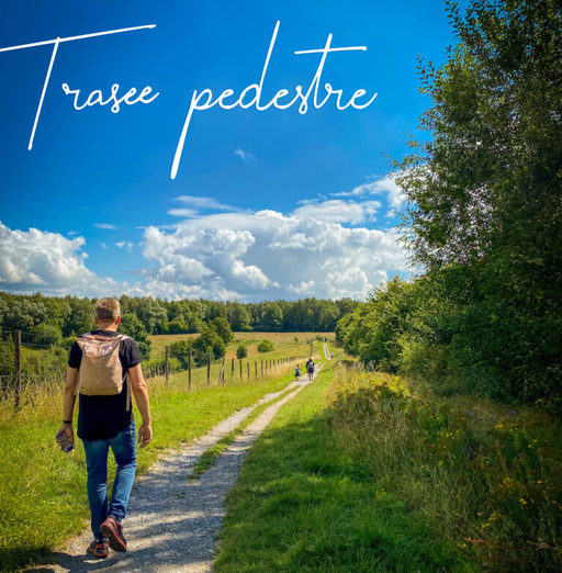Guvernul a adoptat normele metodologice privind crearea, amenajarea şi omologarea traseelor pentru turism pedestru