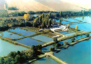 Ministerul Agriculturii finanţează proiectul staţiunii piscicole Nucet, care are o valoare totală eligibilă de 3,05 milioane lei