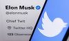 Twitter impune restricţii pentru abonarea la Blue a conturilor noi
