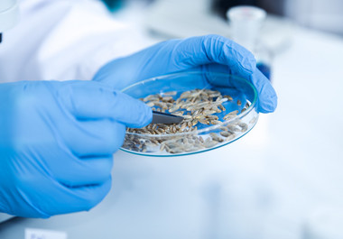 Executivul a modificat regimul de finanţare a Institutului de Cercetare-Dezvoltare în Genomică / ICDG va fi finanţat din venituri proprii şi subvenţii de la bugetul de stat