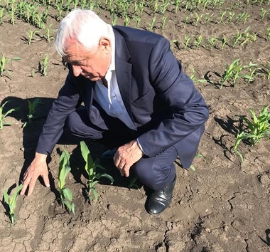 Daea: Nu e cazul să salivăm la orice propunere pe care o fac unii sau alţii/ Nu ne plac nici greierii, nu ne plac nici lăcustele. Ne plac produsele pe care le putem realiza în România / Dintr-un camion de lăcuste nu poţi să faci nici o lingură de făină
