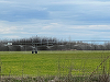 Ministerul Agriculturii: Lipsa apei a declanşat campania de irigat pe anul 2023. Agenţia Naţională de Îmbunătăţiri Funciare a început campania de irigat în judeţul Olt