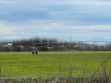 Ministerul Agriculturii: Lipsa apei a declanşat campania de irigat pe anul 2023. Agenţia Naţională de Îmbunătăţiri Funciare a început campania de irigat în judeţul Olt