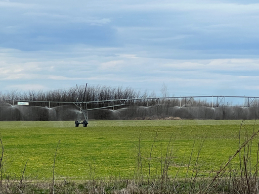 Ministerul Agriculturii: Lipsa apei a declanşat campania de irigat pe anul 2023. Agenţia Naţională de Îmbunătăţiri Funciare a început campania de irigat în judeţul Olt