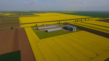 Grupul JD Agro Cocora, care exploatează terenuri agricole, cumpără cu 10 milioane de euro o fermă agricolă în judeţul Constanţa
