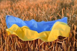 Replica fermierilor ucraineni la protestele colegilor din UE: Sunt politice, nu au justificare, cerealele ucrainene nu le fac afacerile mai puţin profitabile