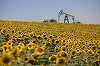 OMV Petrom a descoperit noi resurse de ţiţei şi gaze naturale în Romania, echivalentul a trei pătrimi din producţia realizată anul trecut de companie. Investiţia în campania de foraj de explorare a fost de aproximativ 20 milioane euro