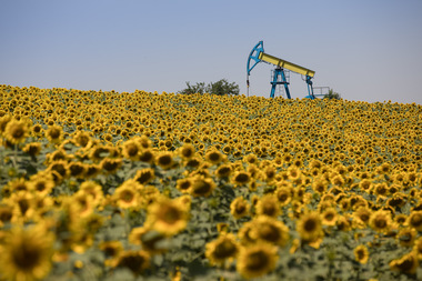 OMV Petrom a descoperit noi resurse de ţiţei şi gaze naturale în Romania, echivalentul a trei pătrimi din producţia realizată anul trecut de companie. Investiţia în campania de foraj de explorare a fost de aproximativ 20 milioane euro