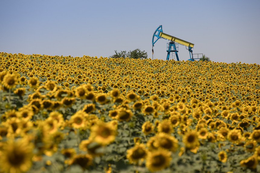 OMV Petrom a descoperit noi resurse de ţiţei şi gaze naturale în Romania, echivalentul a trei pătrimi din producţia realizată anul trecut de companie. Investiţia în campania de foraj de explorare a fost de aproximativ 20 milioane euro