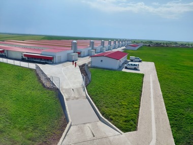 Grupul Carmistin a investit 8 milioane euro într-o fermă de creştere a păsărilor din judeţul Olt
