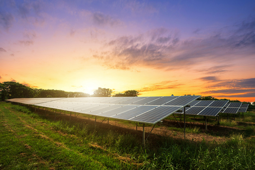 OMV Petrom cumpără mai multe proiecte pentru construirea de parcuri fotovoltaice în judeţul Teleorman, cu o putere instalată de peste 700 MW