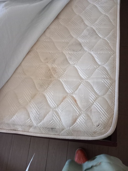 CJPC Constanţa a găsit mai multe nereguli la Hotelul Mondial din Eforie Nord, printre care saltele murdare, prosoape uzate, pereţi cu pânză de păianjen, mizerie şi mucegai în cabinele de duş/ Au fost date amenzi în valoare de 13.000 de lei - FOTO
