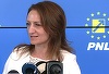 Preşedinta CJ Sibiu, după discuţiile cu ministrul Dezvoltării şi preşedintele PNL despre proiectele de dezvoltare locală: Principala problemă ţine de cofinanţarea pe care trebuie să o asigure consiliile judeţene