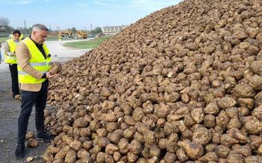 Ministrul Agriculturii estimează că suprafeţele cultivate cu sfeclă de zahăr vor creşte, iar Fabrica de Zahăr de la Luduş va intra într-un proces de retehnologizare: Această investiţie reprezintă o dovadă că agricultura românească are potenţial şi viitor