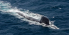 De teama Chinei, Coreea de Sud ia măsuri împotriva firmelor care construiesc submarine militare în Taiwan