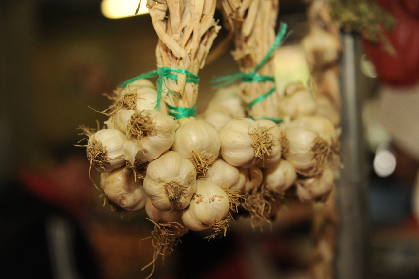 Guvernul a modificat schema „Ajutor de minimis pentru aplicarea Programului de susţinere a producţiei de usturoi” / 1.964 de beneficiari care cultivă 2.775 ha vor primi 3.000 euro per ha cultivat de usturoi