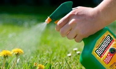 Acţiunile Bayer au scăzut luni cu până la 5,7%, în urma unui ordin judecătoresc pentru plata unor despăgubiri de 2,25 de miliarde de dolari