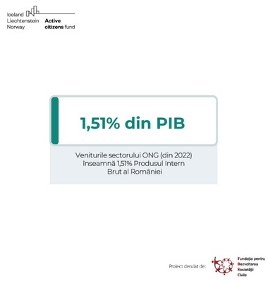 Veniturile totale obţinute de ONG-uri în România au fost de peste 21 miliarde de lei la finalul anului 2022 - studiu