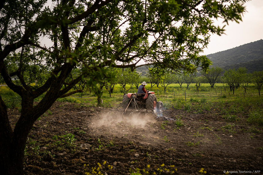 Parlamentul European aprobă o revizuire a politicii agricole comune a UE / Fermele mai mici vor fi exceptate de la controale şi sancţiuni pentru nerespectarea unor norme