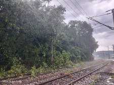 Trafic feroviar perturbat,  între staţiile Beclean pe Someş şi Şintereag, din cauza unor copaci rupţi de vânt - FOTO