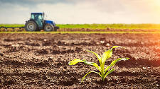 Ministerul Agriculturii: Circa 2,3 miliarde euro absorbite din fonduri europene de la începutul anului pentru agricultură şi dezvoltare rurală