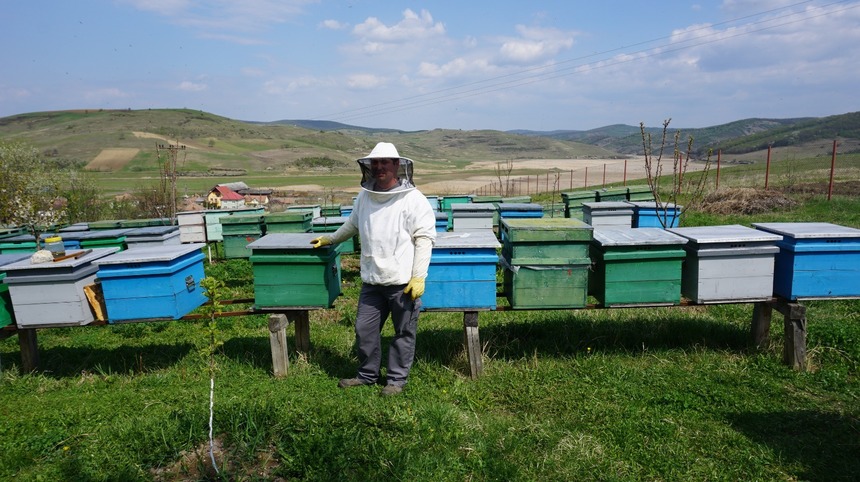 Agenţia de Plăţi şi Intervenţie pentru Agricultură primeşte cererile de plată pentru intervenţiile aferente sectorului apicol 2024. Valoarea sprijinului alocat pentru acest an este de 12,16 milioane euro