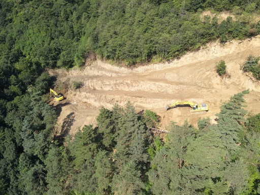 Sorin Grindeanu: În două zile, echipele care se ocupă de defrişare pe Valea Oltului au tăiat peste 1.300 de arbori şi au avansat cu drumurile tehnologice care permit accesul la zonele înalte ale versantului - FOTO / VIDEO