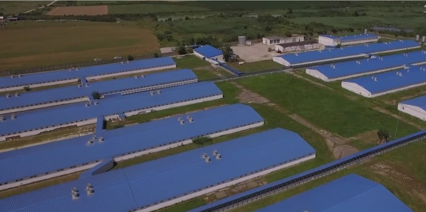 Smithfield Foods, care are operaţiuni şi în România, îşi separă afacerea europeană în contextul planurilor de a se lista la bursă în SUA