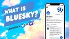 Platforma de socializare Bluesky a atras milioane de oameni în Brazilia, după interzicerea de către un judecător a platformei X a lui Elon Musk
