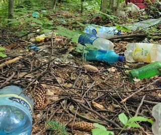 WWF - România: 1 din 7 români consideră că deşeurile de plastic din natură au devenit o problemă majoră în România. Aproape 800 de milioane de tone de plastic sunt estimate a fi produse în acest an în lume