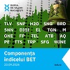 Indicele principal al Bursei de Valori Bucureşti BET include două noi companii, Antibiotice şi Premier Energy