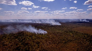 RAPORT WWF: Populaţiile de specii sălbatice au avut un declin catastrofal de 73% în doar 50 de ani, fiind atins cel mai ridicat nivel al degradării naturii. Următorii cinci ani sunt decisivi pentru viaţa pe Pământ