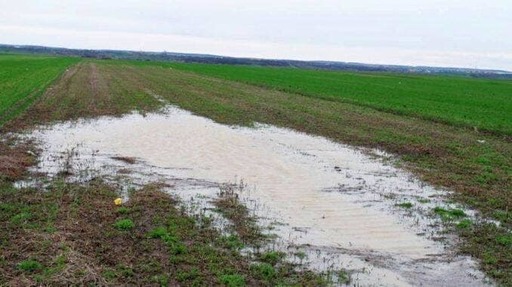 Control al Gărzii de Mediu în zona de sud a judeţului Vrancea, după mai multe reclamaţii privind un miros insuportabil / Fermă amendată cu 100.000 de lei, pentru modul defectuos de colectare a dejecţiilor de pasăre

