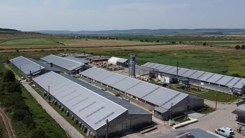 ROCA Industry preia integral Workshop Doors, al doilea producător de uşi rezidenţiale din România