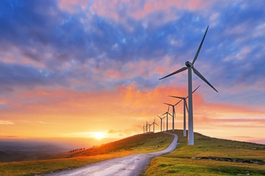 Germania ia măsuri de consolidare a industriei eoliene interne, în contextul concurenţei chineze