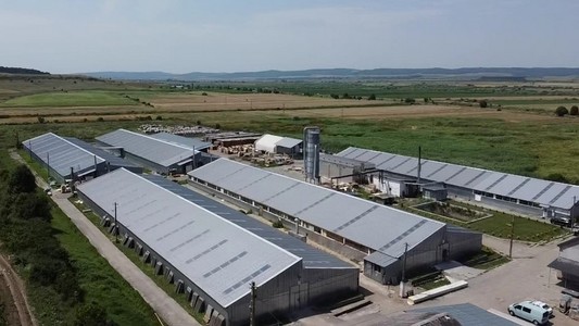 Workshop Doors SRL, filială a ROCA Industry, a luat credite de 21,4 milioane lei de la First Bank pentru refinanţarea altor împrumuturi bancare