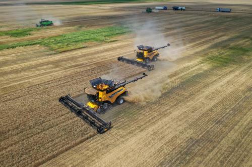 Operatorul de terenuri agricole Holde Agri Invest raportează pierderi de 16,1 de milioane de lei în primele nouă luni, mai mici cu 30%, la venituri de 80 de milioane de lei