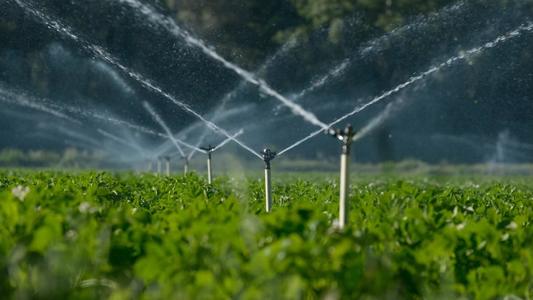 Guvernul aprobă suplimentarea bugetului Ministerului Agriculturii cu 124,26 milioane lei, pentru asigurarea sumelor aferente costurilor cu energia electrică necesare funcţionării agregatelor pentru irigaţii