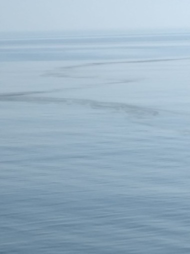 Administraţia Naţională Apele Române: Zece perimetre din spaţiul maritim au fost adjudecate în urma organizării în două etape a licitaţiei  / Acestea reprezintă peste 35% din totalul celor scoase la închiriere 
