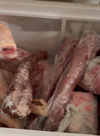 Constanţa: Trei măcelării au fost închise de ANPC / Au fost retrase de la vânzare sute de kilograme de carne / Horia Constantinescu: ”Asta mi se pare o coadă de crocodil. Muşcă? Dacă nu scrie nimic, imaginaţia mea a luat-o razna” - VIDEO