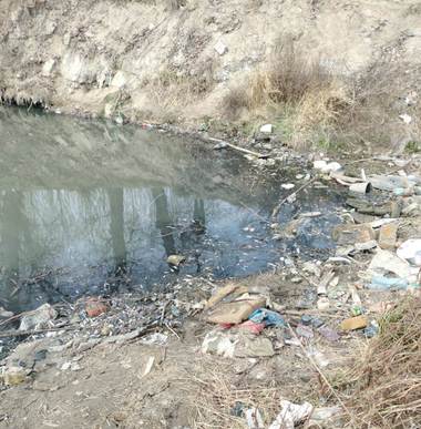 Peşti morţi găsiţi în apele râului Jiu – Analizele au arătat o creştere a azotatului de amoniu, dar şi o scădere a oxigenului